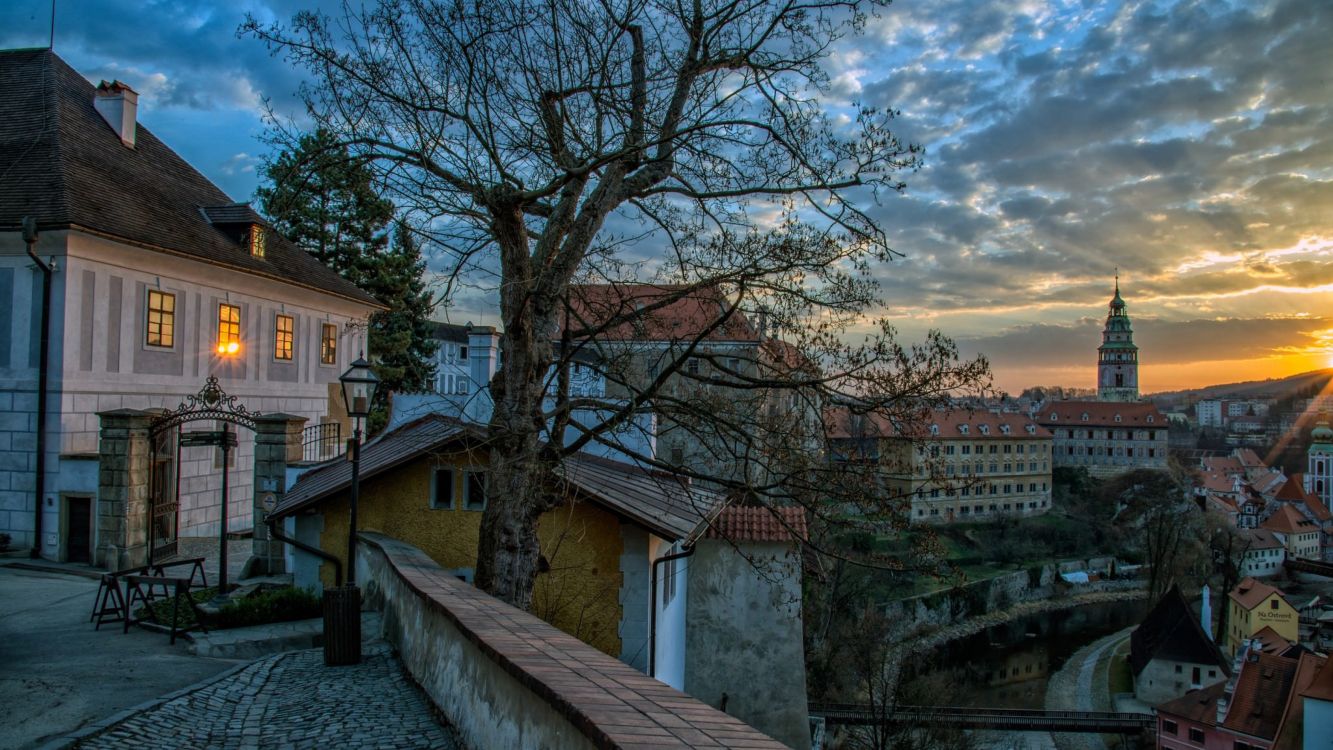 Brauner Kahler Baum in Der Nähe Eines Weißen Betongebäudes Tagsüber. Wallpaper in 3840x2160 Resolution