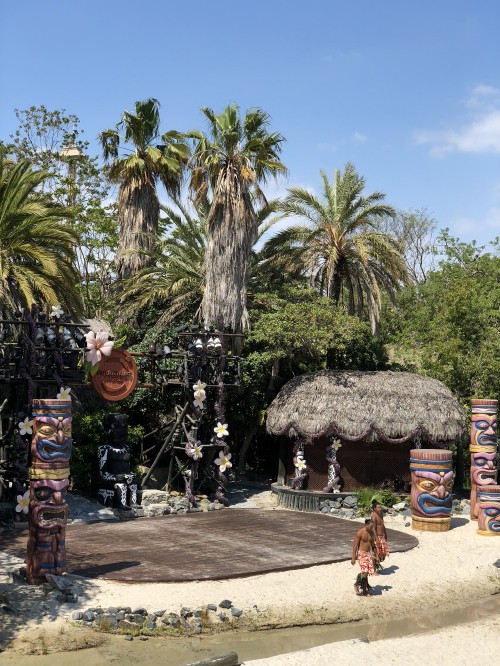 Image palm trees, tourist attraction, Date palm, tourism, tree