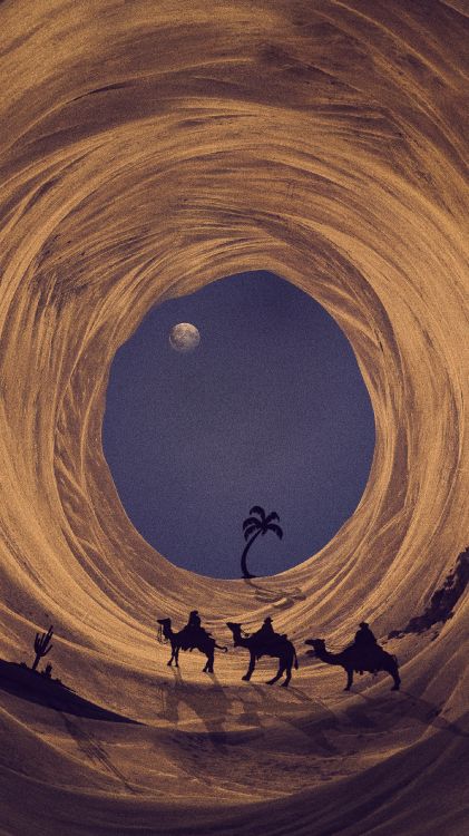 Discos Habibi Funk, el Tatuaje, Subhana Habibi Funk 022, Ecorregión, Entorno Natural. Wallpaper in 1440x2560 Resolution