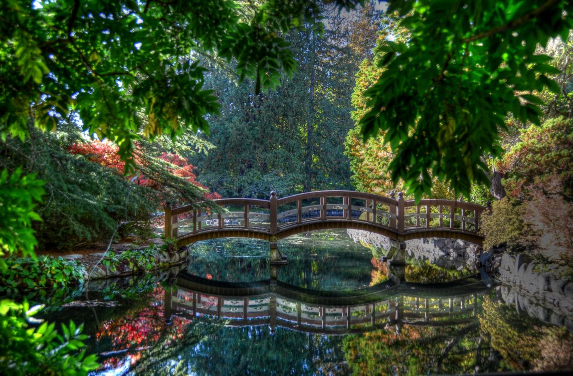 Pont en Bois Brun Au-dessus de la Rivière. Wallpaper in 4925x3230 Resolution