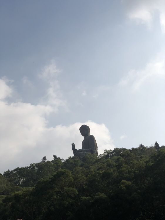 Tian Tan Buddha, Cloud, Cumulus, Back, Chaparral. Wallpaper in 1536x2048 Resolution