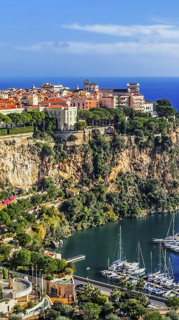 Image aerial view of city buildings near body of water during daytime