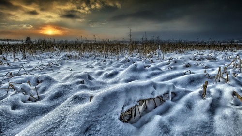 Image snow covered field during sunset