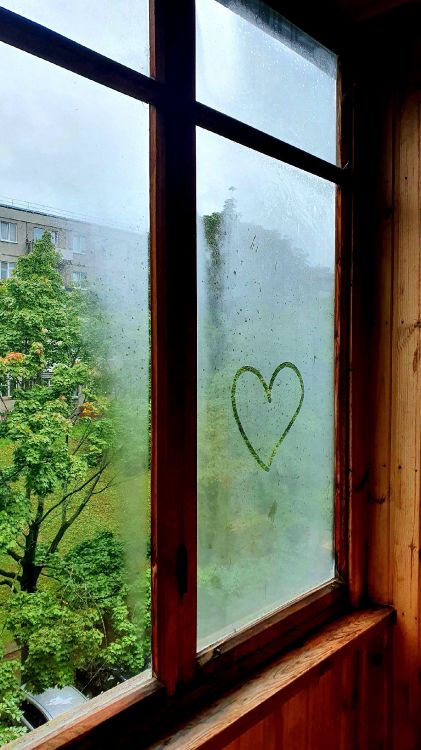 窗口, 牢不可破的, 光, 木, 矩形 壁纸 1440x2560 允许