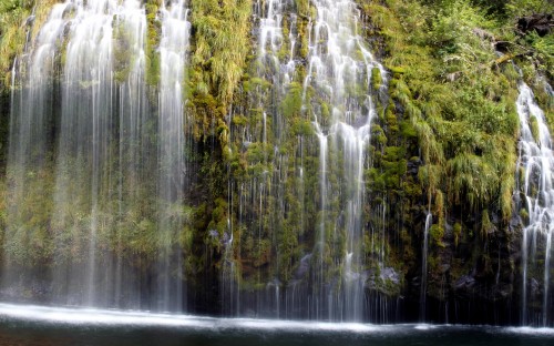 Image water falls in the middle of green trees