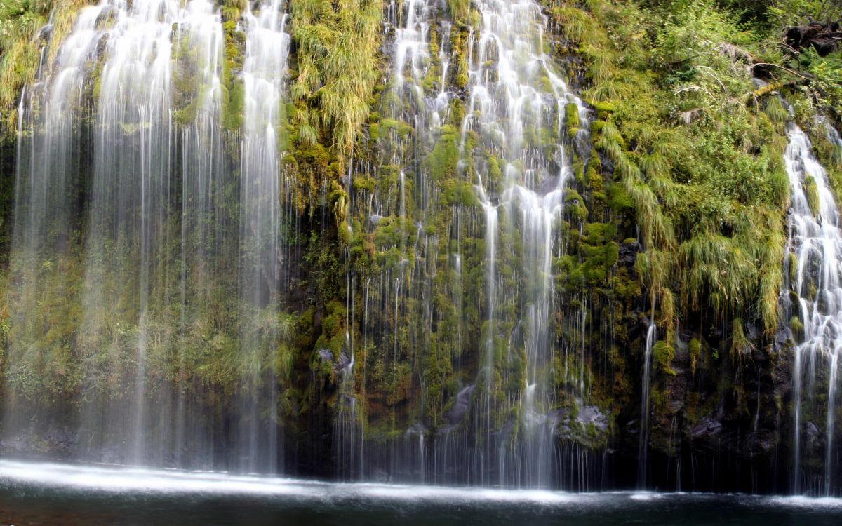 water falls in the middle of green trees