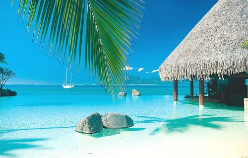 Image brown wooden beach umbrellas on white sand beach during daytime