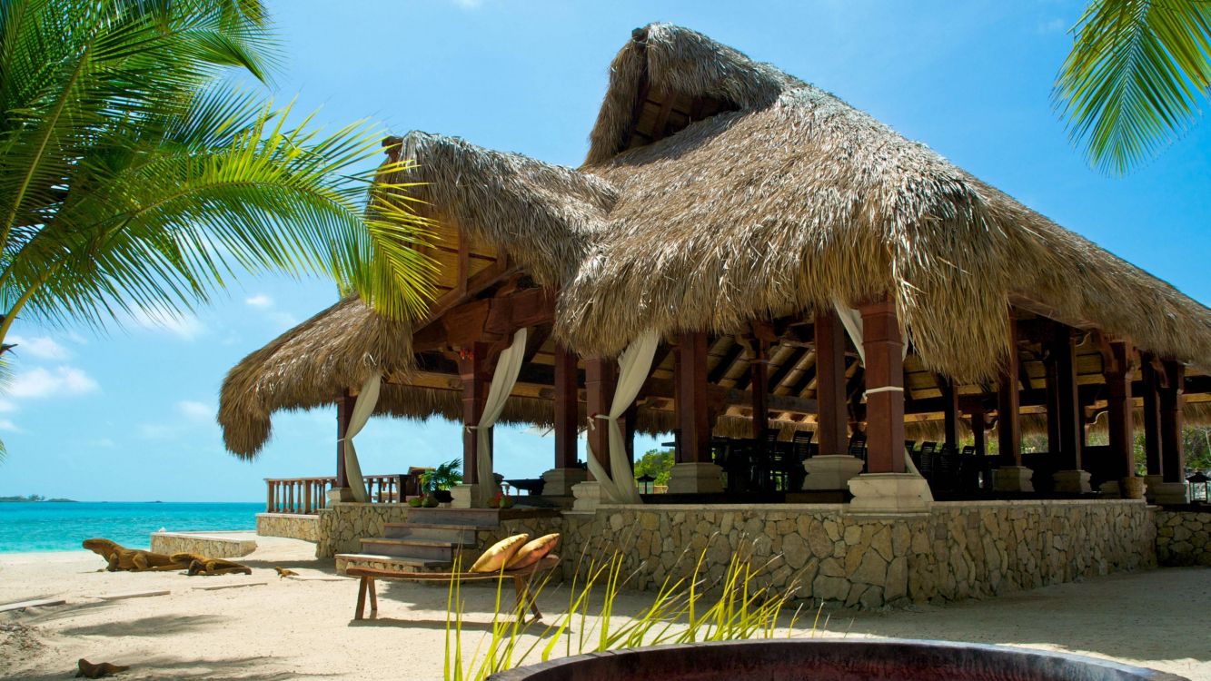 brown wooden gazebo near palm tree during daytime