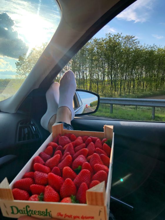 la Comida Local, Biología, Ciencia, Espejo Automotriz, Parte de la Dirección. Wallpaper in 3024x4032 Resolution