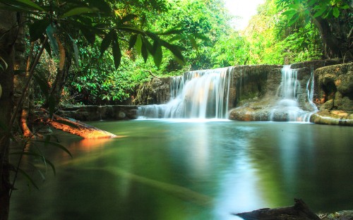 Image waterfalls in the middle of the forest