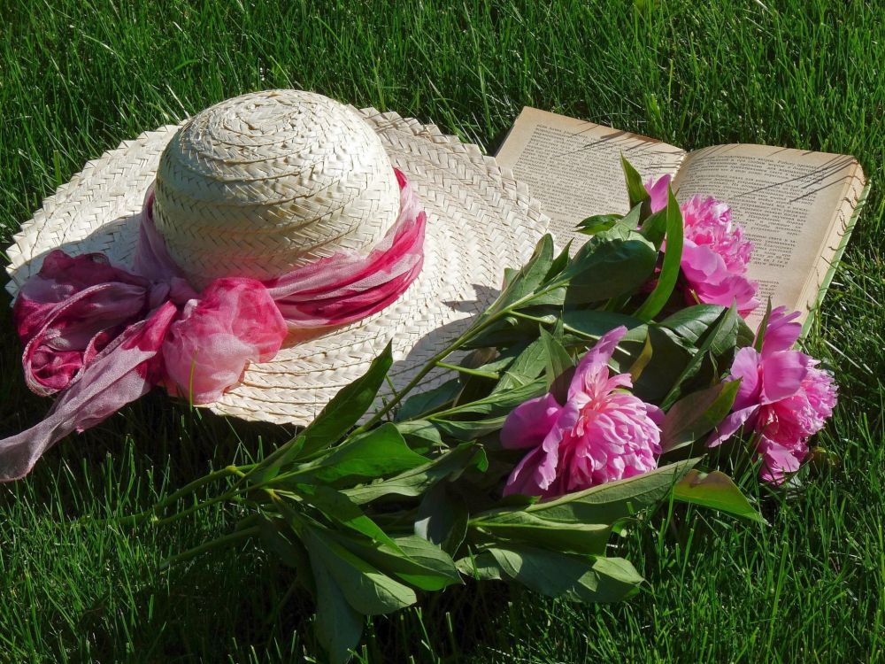 Flores Rosas en Sombrero Blanco. Wallpaper in 2048x1536 Resolution