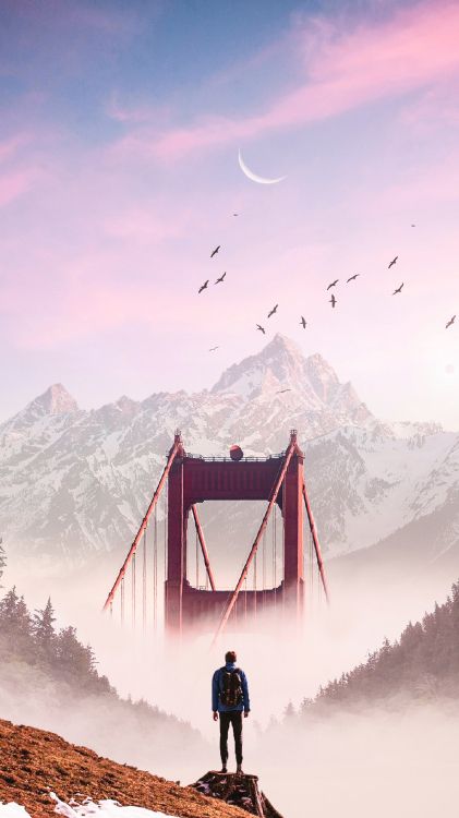 cloud, mountain, bird, nature, snow
