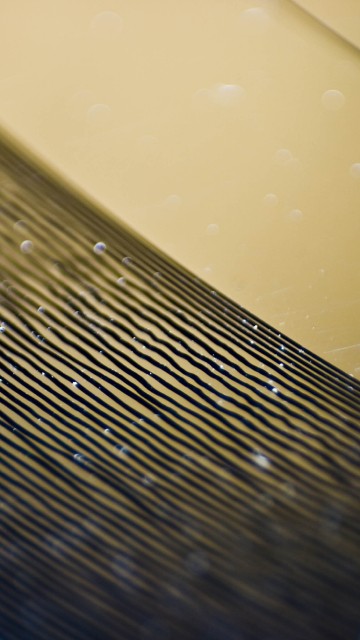 Image phonograph record, lp record, phonograph, water, drop