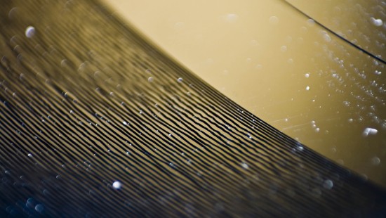 Image phonograph record, lp record, phonograph, water, drop