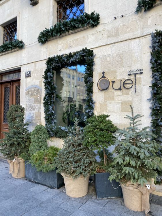 Baum, Blumentopf, Staude, Zimmerpflanze, Einjährige Pflanze. Wallpaper in 1536x2048 Resolution