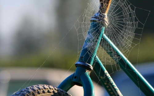 Image blue bicycle wheel with spider web in tilt shift lens