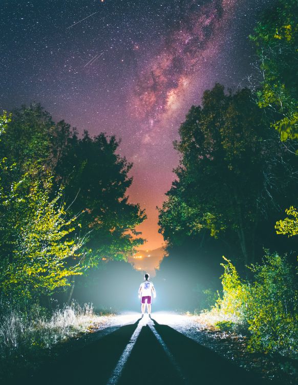 数据, 绿色的, 光, 气氛, 自然景观 壁纸 3109x4000 允许