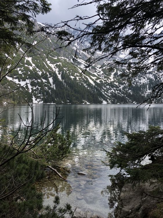 Eau, Rameau, Banque, Cours D'eau, Lac. Wallpaper in 1536x2048 Resolution