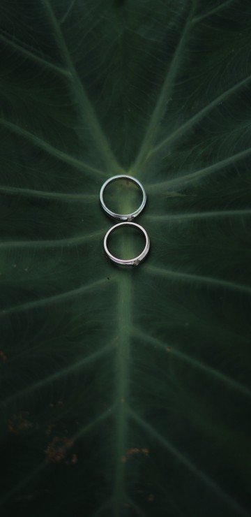 Image atmosphere, green, water, circle, technology