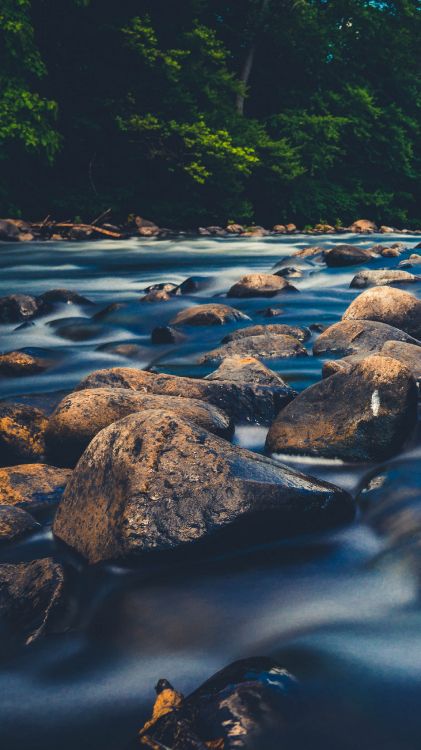 nature, body of water, water resources, water, rock