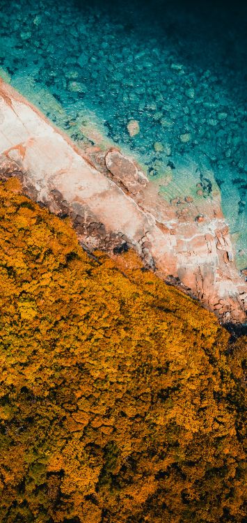 Agua, Transformación, Geometría, Matemáticas, Naranja. Wallpaper in 1420x3000 Resolution