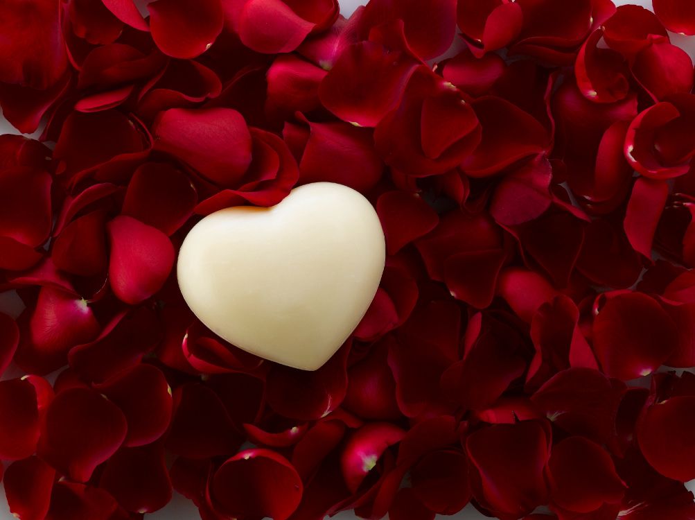 Cœur, Red, Pétale, le Jour de Valentines, Amour. Wallpaper in 3713x2774 Resolution