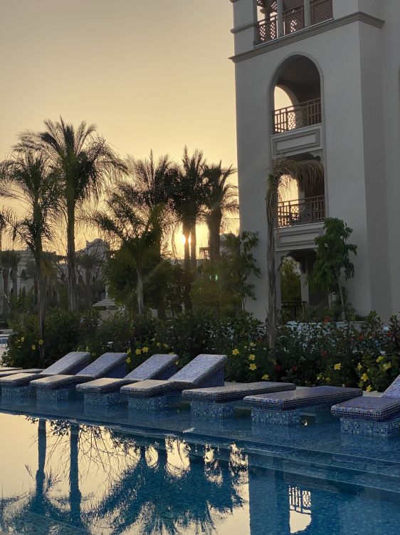 Réflexion, Palmier, Immobilier, Eau, la Journée. Wallpaper in 1536x2048 Resolution