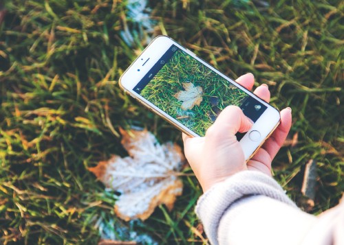 Image person holding silver iphone 6