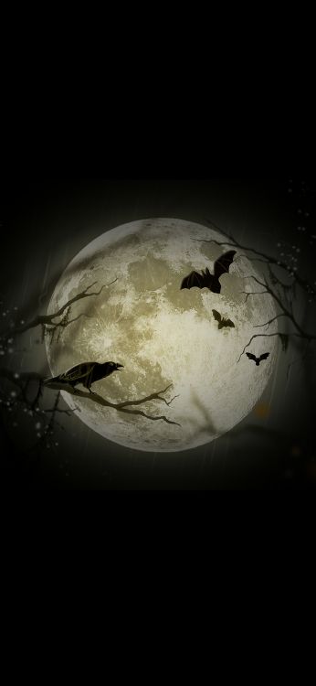 Halloween-Musikspezialisten, Jack Skellington, Halloween, Halloween-Karte, Atmosphäre. Wallpaper in 1080x2340 Resolution