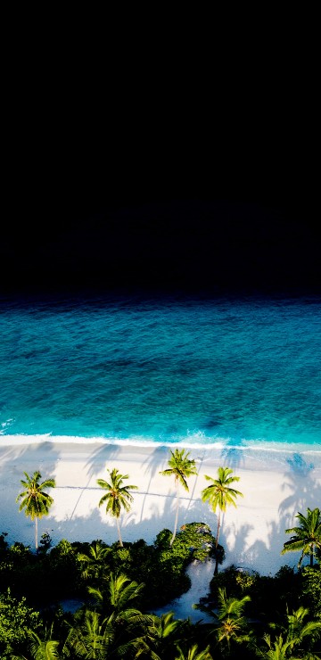 Image beach, sea, smartphone, coast, ocean