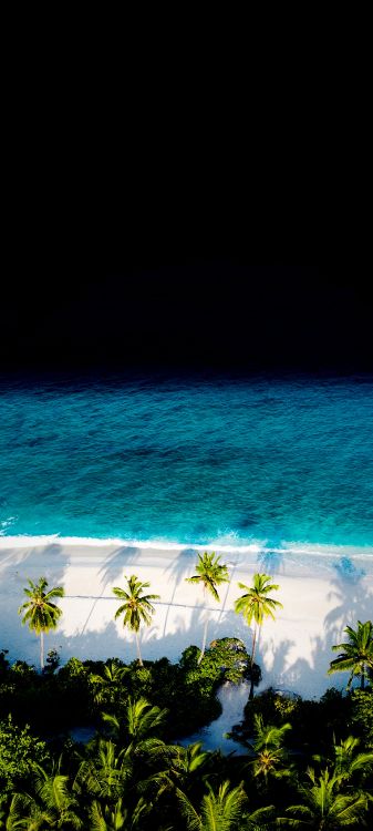 Beach, Sea, Smartphone, Coast, Ocean. Wallpaper in 1440x3200 Resolution