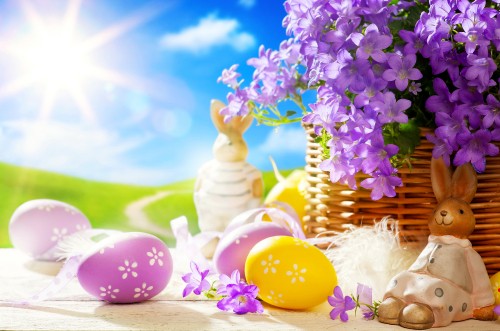 Image easter bunny, spring, purple, lilac, flower