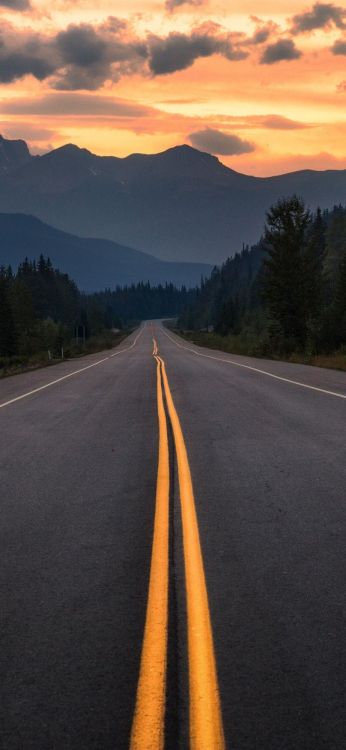 Route, Lumière, Nature, Infrastructure, Surface de la Route. Wallpaper in 924x2000 Resolution