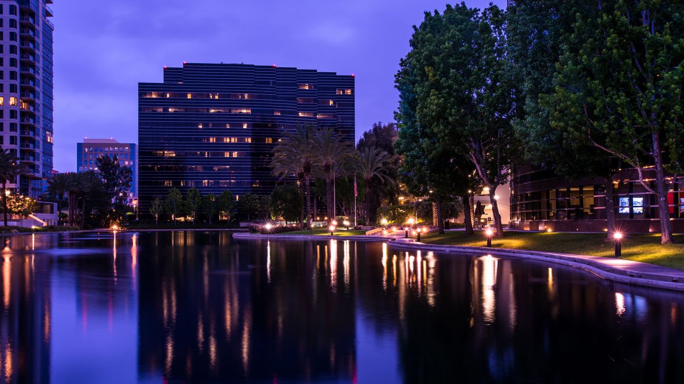 green trees near body of water during night time