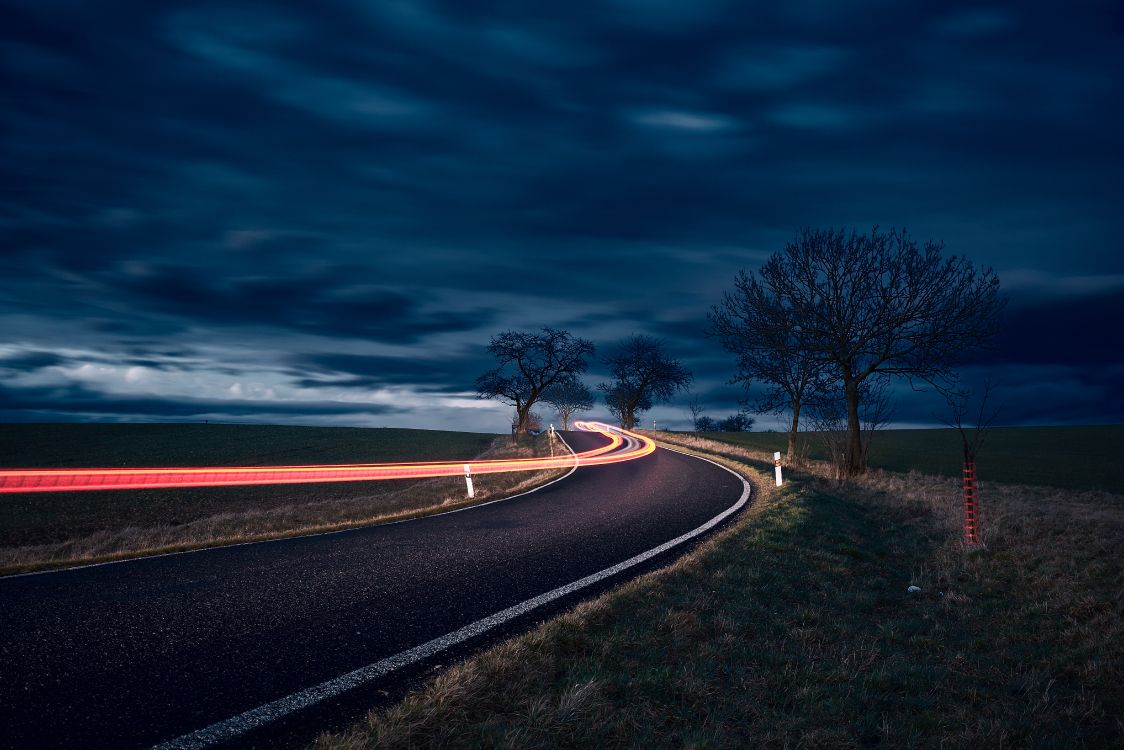 road, night, blue, cloud, tree