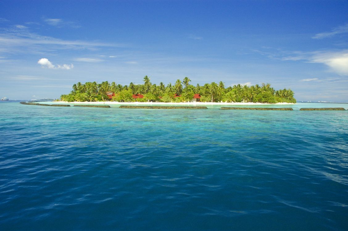 Arbres Verts Sur L'île Entourée D'eau Sous Ciel Bleu Pendant la Journée. Wallpaper in 3008x2000 Resolution