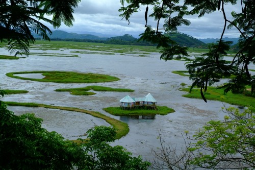 Image white and brown gazebo on green grass field near body of water during daytime