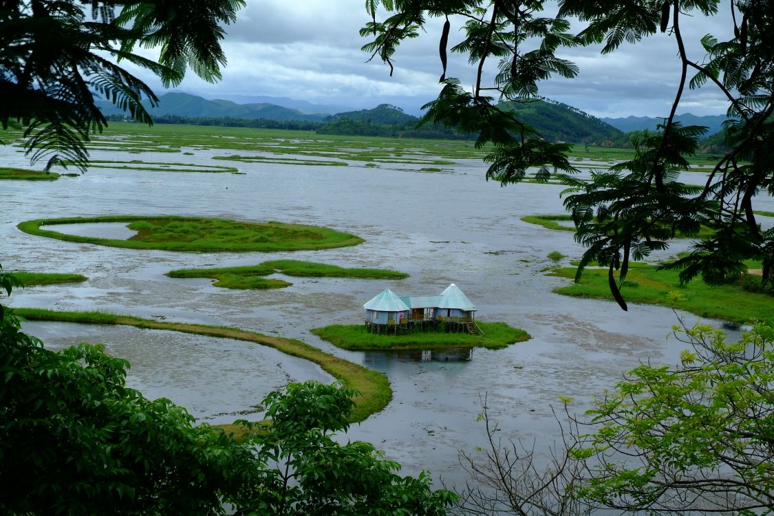 white and brown gazebo on green grass field near body of water during daytime