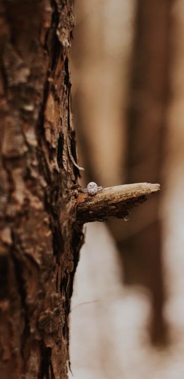 Image brown wood with white snow