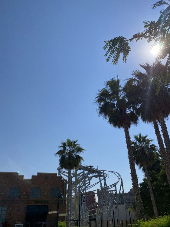 Palmier, Végétation, Plantes Ligneuses, Biome, Plante Terrestre. Wallpaper in 1536x2048 Resolution