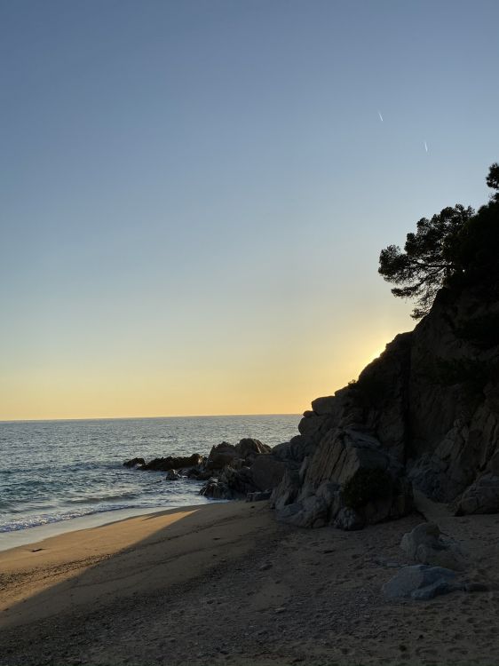 Mer, Eau, Côte, Rive, Rock. Wallpaper in 1536x2048 Resolution