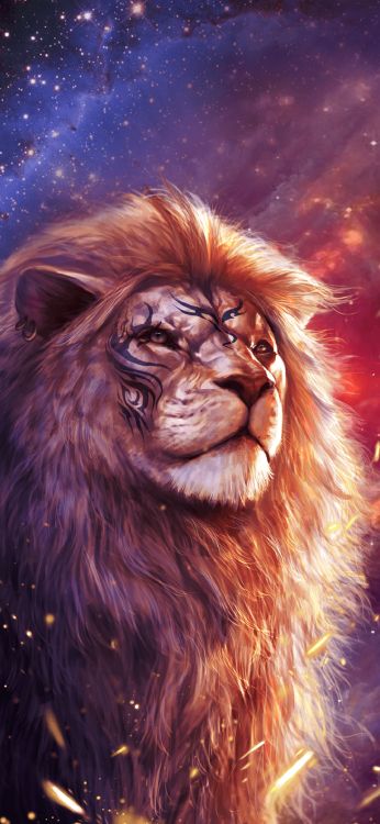 Leones, Naturaleza, Hígado, Arte, Los Animales Terrestres. Wallpaper in 1080x2340 Resolution