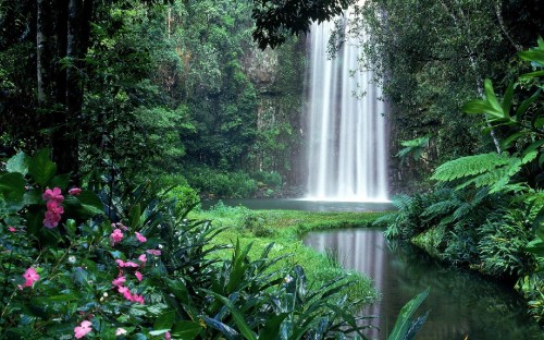 Image Millaa Millaa Falls, waterfall, natural landscape, body of water, nature