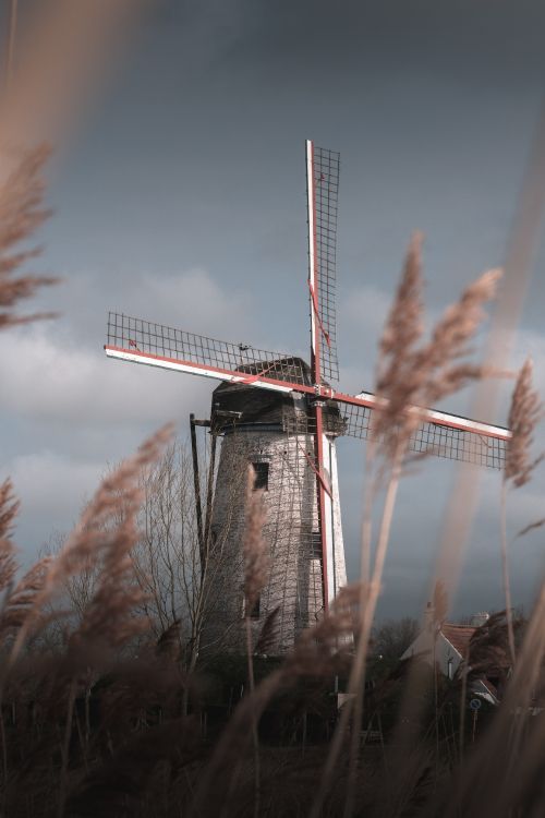 Windmill, Mill, Grass Family, Wind Turbine, Wind. Wallpaper in 4160x6240 Resolution