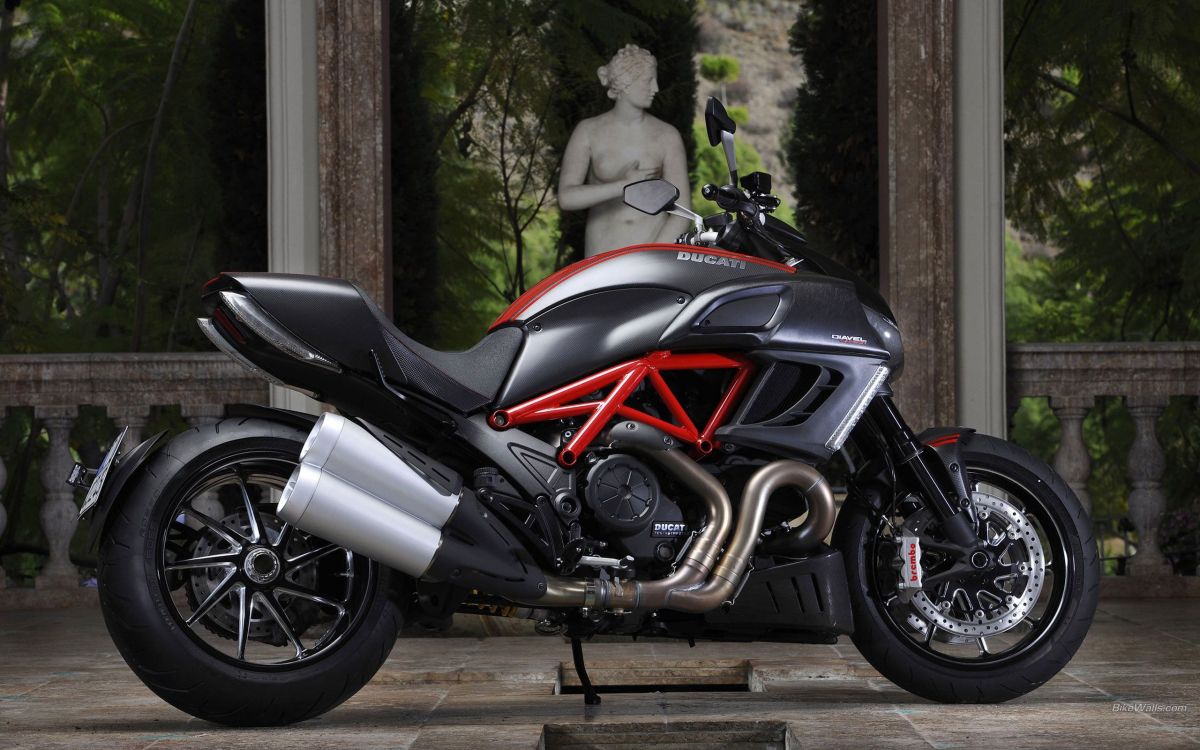 black and red sports bike parked beside green plants during daytime