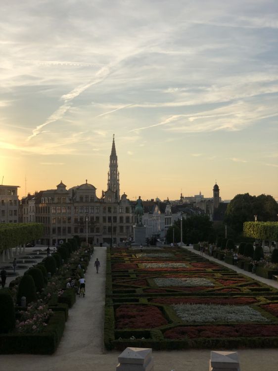 Mont Des Arts, Corps de L'eau, Nuit, Route, Nature. Wallpaper in 1536x2048 Resolution
