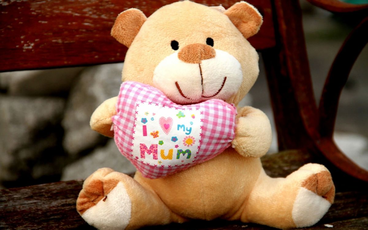 Jouet en Peluche, Peluche, Nounours, Textile, Enfant. Wallpaper in 2560x1600 Resolution