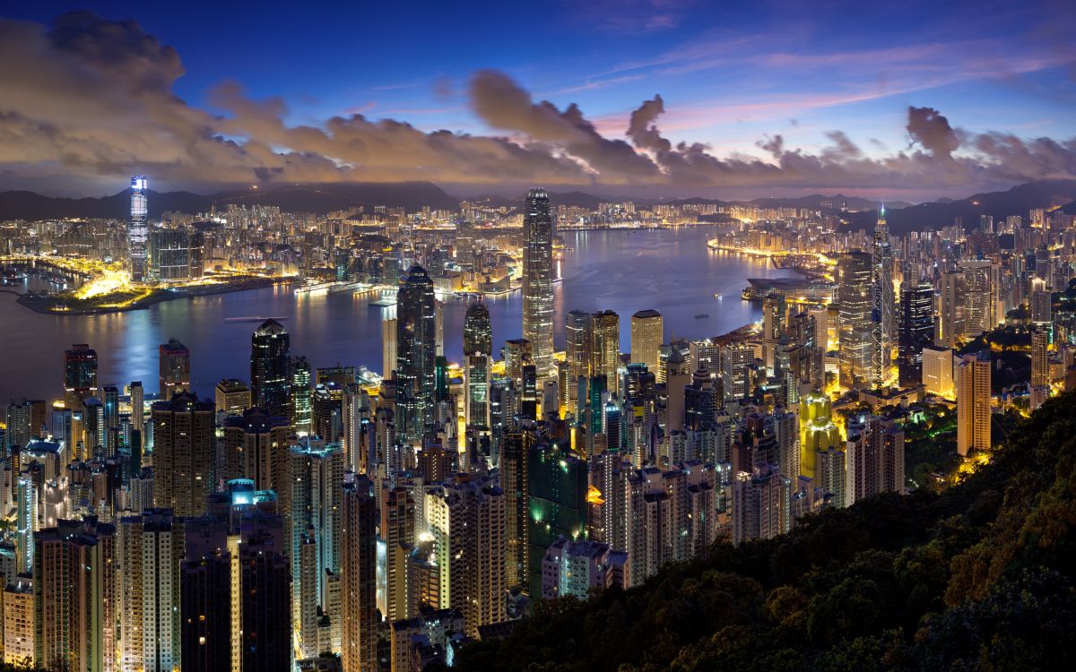 city skyline during night time