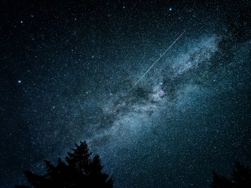 Image silhouette of trees under starry night