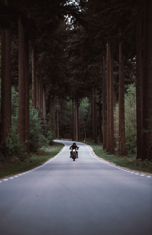 Person Riding Motorcycle on Road Between Trees During Daytime. Wallpaper in 4513x6956 Resolution